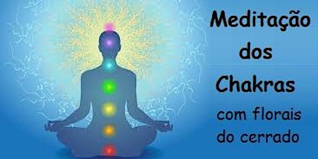 Imagem principal do evento Meditação dos Chakras com Florais do Cerrado