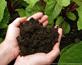 Healthy Soils: Building, Maintaining and Managing primary image