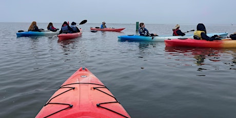 Primaire afbeelding van Stewardship Saturday: Being Sea Otter Savvy in Morro Bay