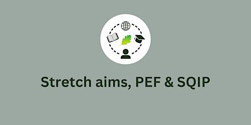 Stretch aims, PEF and SQIP mop-up session primary image