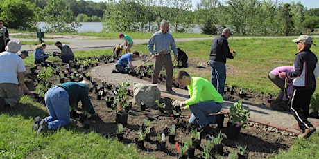 Pollinator Garden Spring Cleanup & Planting primary image