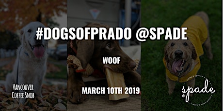 DogsOfPrado @ Spade: An SPCA Treat Week Event