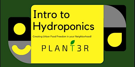 Indoor Hydroponic Gardening Demystified: Your Path to Homegrown Veggies
