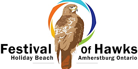 Volunteer for the Festival of Hawks Weekend primary image