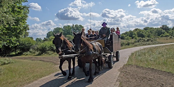 Tocht met paard en wagen voor rolstoelers (geannuleerd)