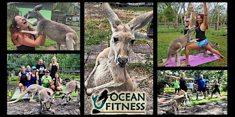 Imagem principal do evento Kangaroo Yoga Fun at Tree House Farm!!