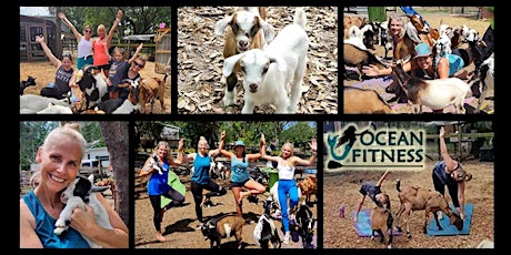 Imagen principal de Goat Yoga Fun at Tree House Farm!!