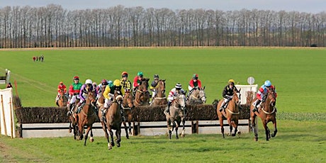 North Galway Hunt Point-to-Point  primary image