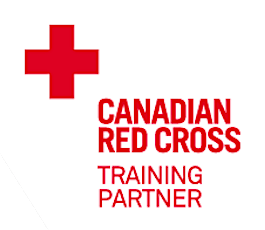 Emergency First Aid and CPR Level C, Canadian Red Cross, Hamilton, ON primary image