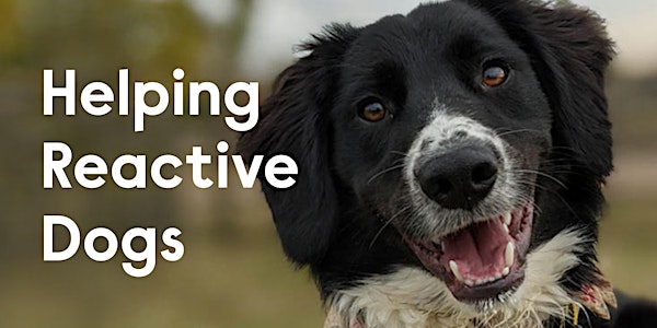 Helping Reactive Dogs (Pre-recorded workshop)