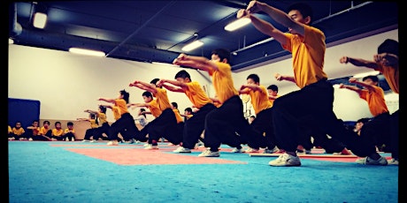 Spring into Shaolin Kung Fu and Qi Gong MARKHAM