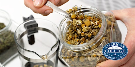 Immagine principale di Hands-on Practice: Creating Herbal Formulas for Clinical Cases 