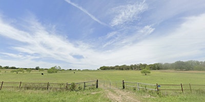 Imagen principal de Solar Eclipse Fredericksburg 2024 - Wine Country Views!