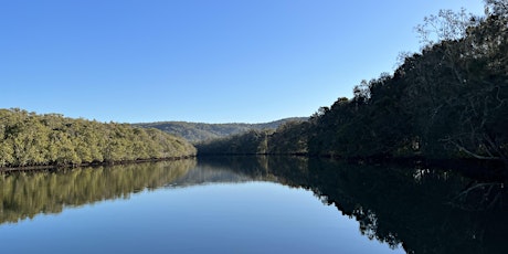 Image principale de Wetland Restoration through Floating Landcare, Narara Creek.