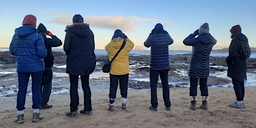 Hauptbild für Coastal Wildlife Tour