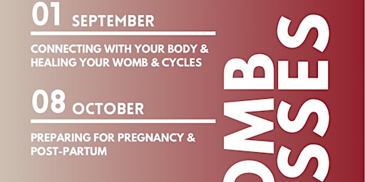 Womb Wellness Virtual Workshop primary image