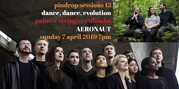 pindrop sessions 15: dance, dance, evolution / palaver strings + culomba