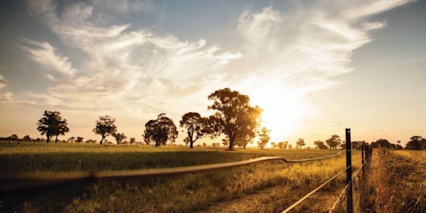 Mental Health Services in RACFs: Goondiwindi Stakeholder Consultation