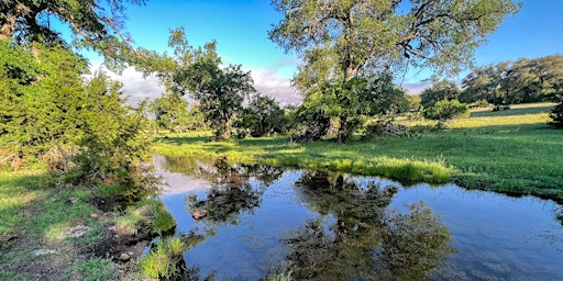 Open Preserve weekend at Pecan Springs Karst Preserve