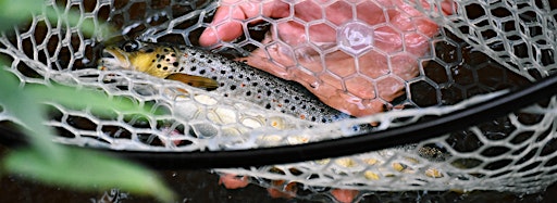 Collection image for Fly Fishing 101