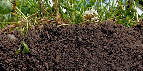 Hauptbild für Understanding Soil Health