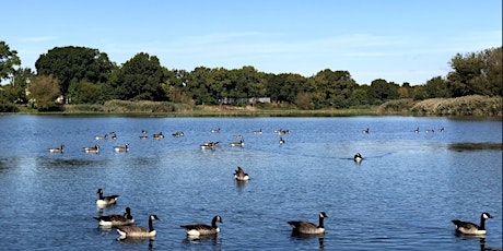 Image principale de Baisley Pond Park Cleanup