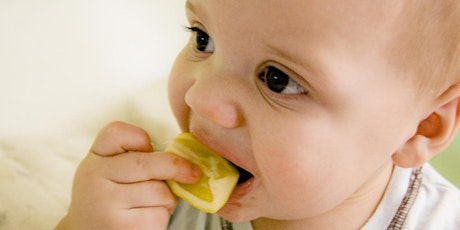 Introducing Solids - for parents starting to feed baby solid food DSCC 21/05/2019 primary image