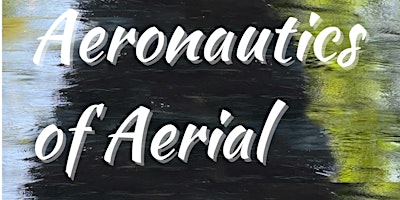 Aeronautics of Aerial