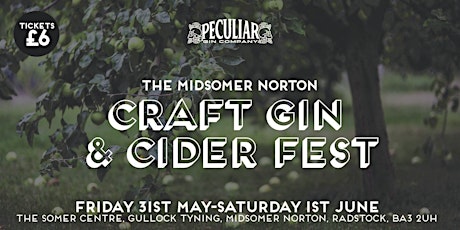 Midsomer Norton Craft Gin and Cider Fest primary image