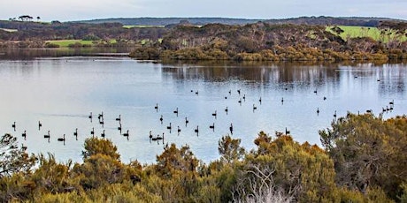 Ranger-guided walk: Lashmar Lagoon Discovery and Birdwatching primary image