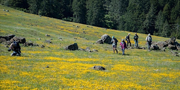 Serpentine Wildflowers With Botanist Peter Warner at Jenner Headlands 4-21-19 am