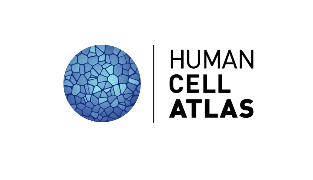 Human Cell Atlas annual meeting 2019 (remote event)