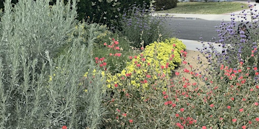 Image principale de Three-Part California Native Garden Design with Carol Armour Aronson