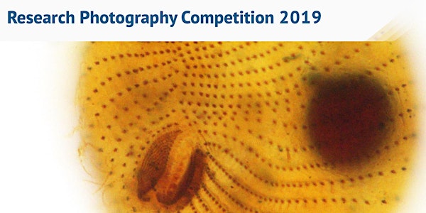 Research Photography Competition 2019