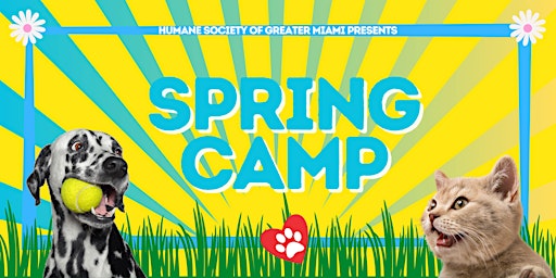 Primaire afbeelding van Spring  Camp (Ages 9-12)
