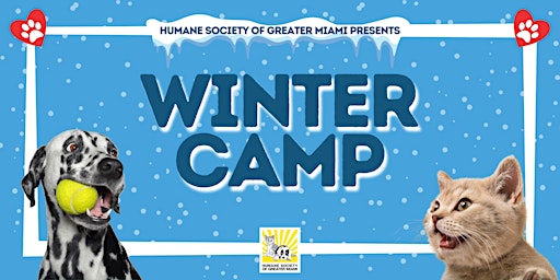 Primaire afbeelding van Winter  Camp (Ages 9-12)