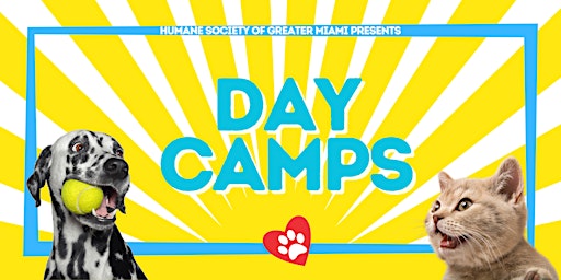 Kids Day Camp - Teacher Planning Days (Ages 9 - 12) primary image