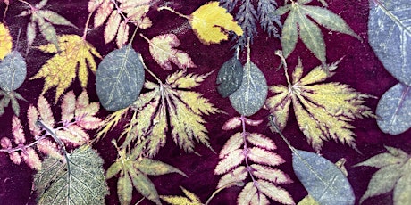 True Colour of the Cotinus on Leather online botanical printing workshop primary image