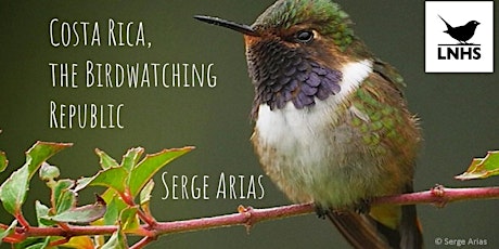 Costa Rica, the Birdwatching Republic  Serge Arias & London Bird Club AGM primary image
