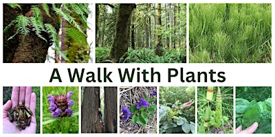 A Walk With Plants primary image