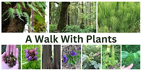 A Walk With Plants