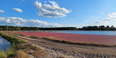Cranberry Harvest Hikes & Food History Tour primary image