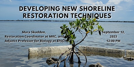 Imagen principal de September Lagoon at Noon - Developing New Shoreline Restoration Techniques