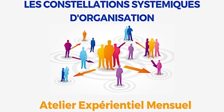 Hauptbild für Constellation systémique professionnelle