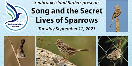 Song and the Secret Lives of Sparrows primary image