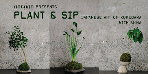Imagem principal do evento Arcana Plant & Sip - June