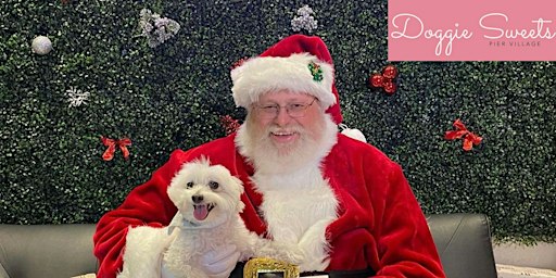 Pictures with Santa & Aussie Group