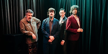 THE MOUNTAIN GOATS primary image