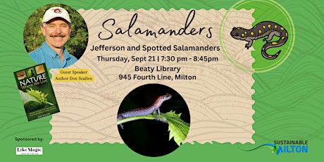 Salamanders primary image