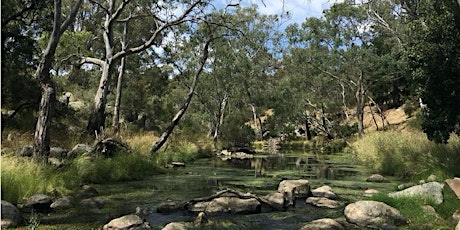 Image principale de Moorabool River Reserve & Dog Rocks Cultural Walk - Geelong Nature Festival